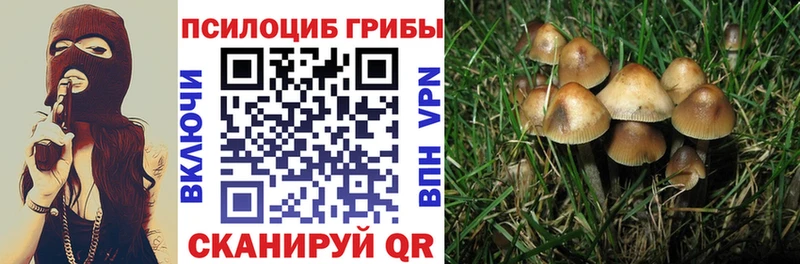 Купить где  Радужный  Галлюциногенные грибы GOLDEN TEACHER 